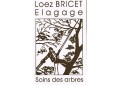 Détails : Sarl L.B.E. (Loëz Bricet élagage)