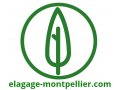 Détails : Elagage Montpellier