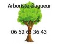Détails : Julien picot Arboriste Elagueur