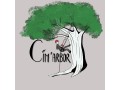 Détails : Cim'Arbor - L'avis d'un professionel pour vos arbres - Elagage, Abattage, Démontage, Soins aux Arbres dans l'Aude