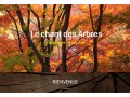 Détails : Le chant des Arbres