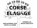 Détails : CORSE ELAGAGE