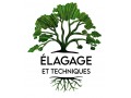 Détails : ELAGAGE ET TECHNIQUES