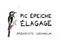 Détails : Pic Epeiche Elagage