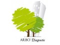 Détails : Arbodiagnostic