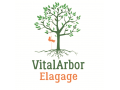 Détails : Vitalarbor