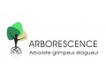 Détails : Arborescence