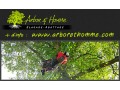 Détails : ArboretHomme - élagage-abattage d'Arbres en Essonne 91