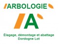 Détails : ARBOLOGIE