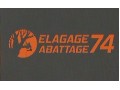 Détails : ELAGAGE ABATTAGE 74