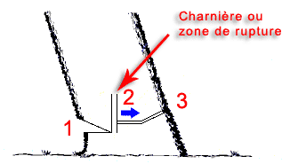 Charnière de rupture sur un tronc