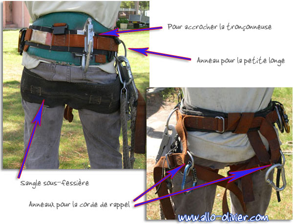 Materiel ou équipements d'élagage : harnais, cordage, reglex, sac