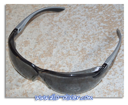 Lunette protection élagage