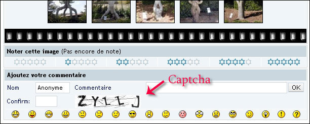 http://www.allo-olivier.com/Photos-Forum/Explications/Captcha.jpg