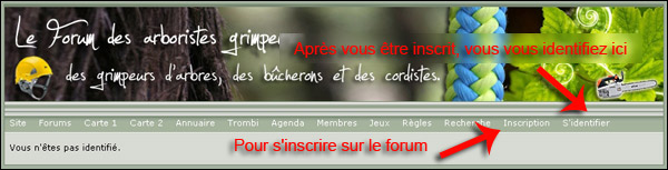 http://www.allo-olivier.com/Photos-Forum/Explications/Le_Forum_01.jpg