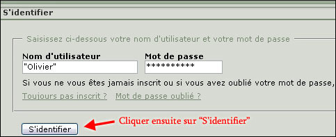 http://www.allo-olivier.com/Photos-Forum/Explications/Le_Forum_02.jpg