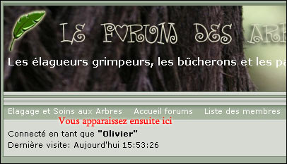 http://www.allo-olivier.com/Photos-Forum/Explications/Le_Forum_03.jpg