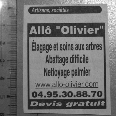 http://www.allo-olivier.com/Photos-Forum/Mes-Photos/Annonce-Journal.jpg