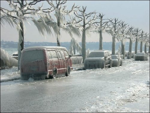 http://www.allo-olivier.com/Photos-Forum/Mes-Photos/Arbre-gele-02.jpg