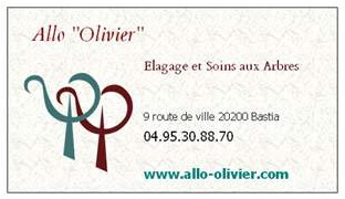 http://www.allo-olivier.com/Photos-Forum/Mes-Photos/Carte_de_visite.jpg