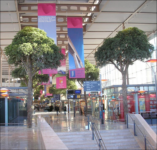 http://www.allo-olivier.com/Photos-Forum/Mes-Photos/Faux-Arbres-Gare.jpg