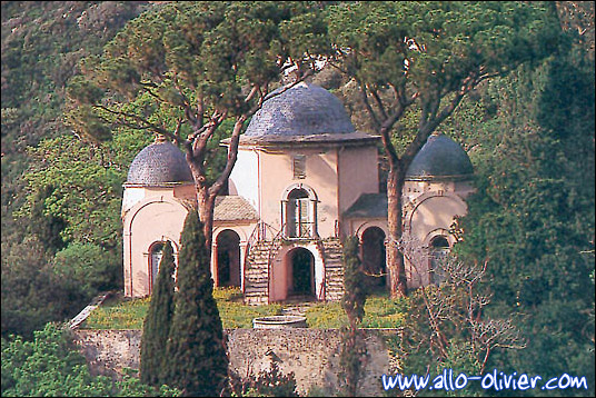 http://www.allo-olivier.com/Photos-Forum/Mes-Photos/Pin-Mausolee-Pino.jpg