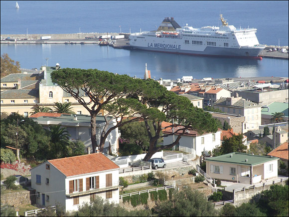 http://www.allo-olivier.com/Photos-Forum/Mes-Photos/Pin-Parasol-StAntoine.jpg