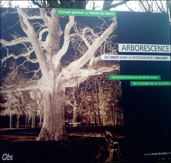 http://www.allo-olivier.com/Photos-Forum/Vos-Photos/ElagueurBreton/Expo-Arbres-01.jpg