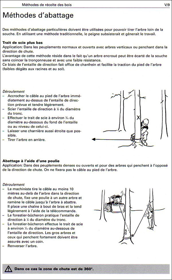 http://www.allo-olivier.com/Photos-Forum/Vos-Photos/flo72/Recolte-bois-01.jpg